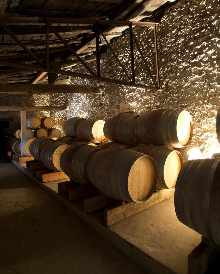 Maison Le Sepe - Vignoble Bio Et Maison D'Hotes サント・ラドゴンド エクステリア 写真