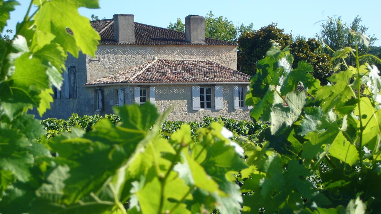 Maison Le Sepe - Vignoble Bio Et Maison D'Hotes サント・ラドゴンド エクステリア 写真