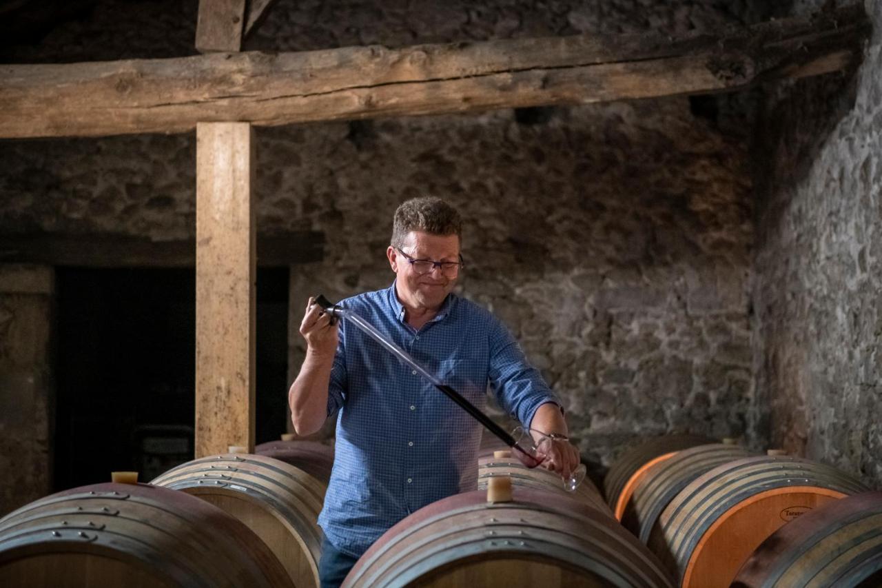 Maison Le Sepe - Vignoble Bio Et Maison D'Hotes サント・ラドゴンド エクステリア 写真